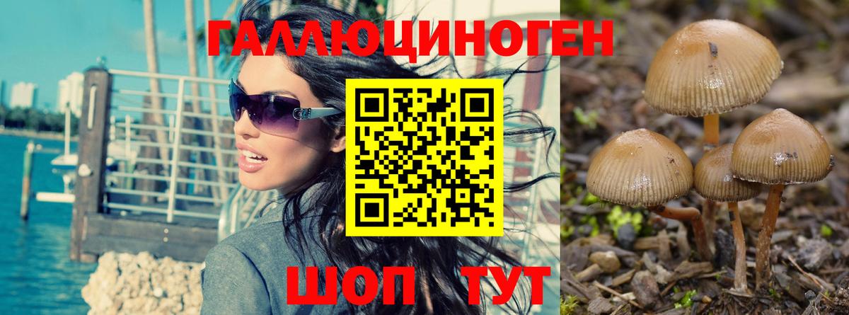 Галлюциногенные грибы Magic Shrooms Кудрово