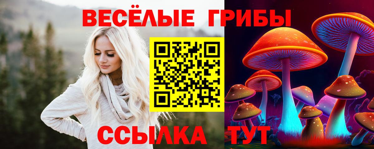 хочу   Вход с VPN  Псилоцибиновые грибы прущие грибы  Кудрово  Галлюциногенные грибы мухоморы 